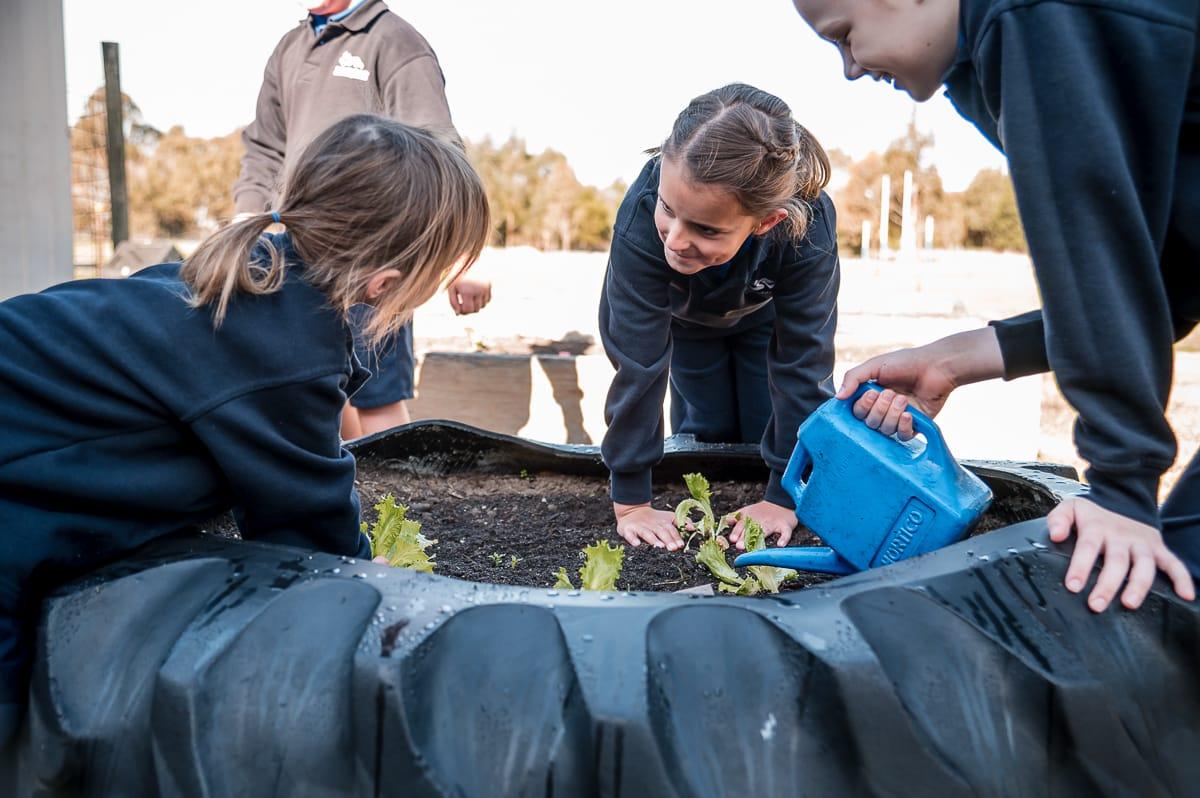 Primary school students smiling while playing on the school playground at a Bairnsdale Christian college in bairnsdale, Vic.